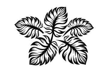 Black Floral Ornamentation Botanical Pattern of Abstract Leaves on White Background © Shipon