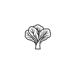 Bok choy icon vector symbol for natural food and vegetarian cuisine