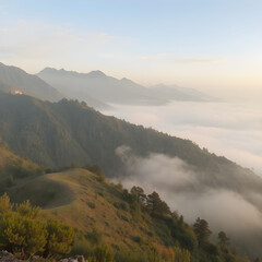 Obraz premium fog in the mountains
