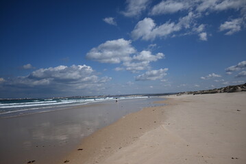 beach and sea