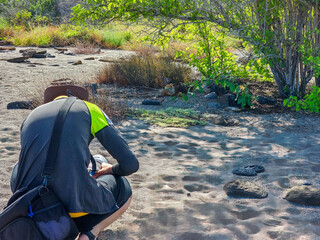 The Galapagos Islands are made up entirely of volcanic piles and volcanic lava. These islands are home to the Galapagos' unique animals, many of which are unique in the world