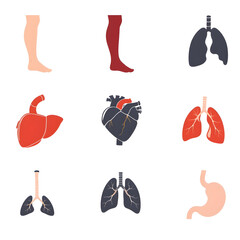30 minimal vector organ icons: leg, arm, hand, foot, arm, finger, finger, heart, liver, lung, stomach, each in 3 perspectives (frontal, side, detail view).