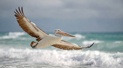 Pelican with full wingspan skims low over sea waves under cloudy sky, showcasing its graceful flight and detailed feathers in dynamic coastal scene