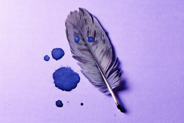 Single gray feather with blue ink drops on textured purple surface, creating calm and artistic composition with contrasting colors and delicate details