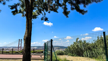 <pine tree gazing under azure skies by an intricate bridge, whispering tales of solstice...