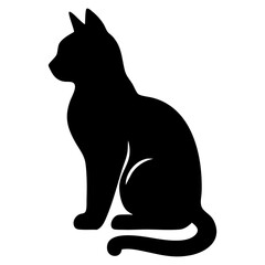 black cat isolated on white