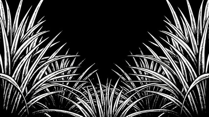 tree leaves in silhouette with abstract light