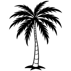 Obraz premium Shadowed Tropics