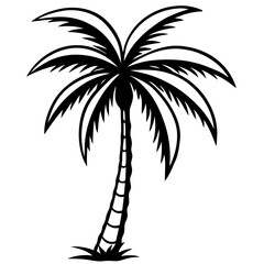 Obraz premium Shadowed Tropics