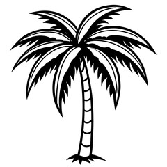 Fototapeta premium Shadowed Tropics