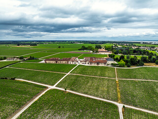 Chateau Pontet-Canet Vineyard and grape fields around Pauillac and Gironde Estuary from a drone,...