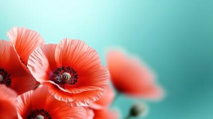 A close-up view of beautiful coral poppies blooming against a soft, textured background, showcasing their delicate petals and intricate details, symbolizing beauty and fragility.