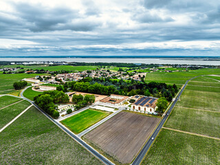Chateau d'Armailhac Vineyard and grape fields around Pauillac and Gironde Estuary from a drone, Bordeaux, Gironde, Nouvelle-Aquitaine, France, Europe