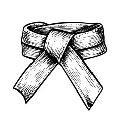 Martial Arts Belt 2D flat vector illustration, isolated on a white background.
