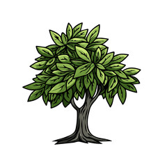 Neem Tree Doodle illustration vector 2D flat, isolated on a white background.