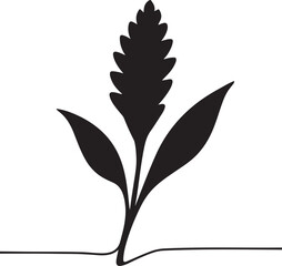 Ginger Flower Silhouette Vector Art