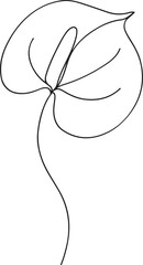 Anthurium Flower Line Drawing Vector Art