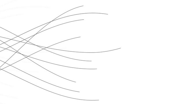 Abstract background with black lines in motion on a white background, the concept of data transmission of the future. 4K