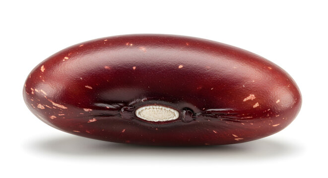 Red Kidney bean Isolated on White - Healthy Food 