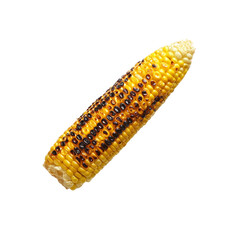 Grilled Corn on the Cob, Isolated on Black Background