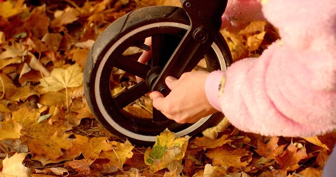 A small childs hand is seen carefully adjusting the wheel of a device, surrounded by a colorful blanket of fallen autumn leaves that have collected on the ground nearby