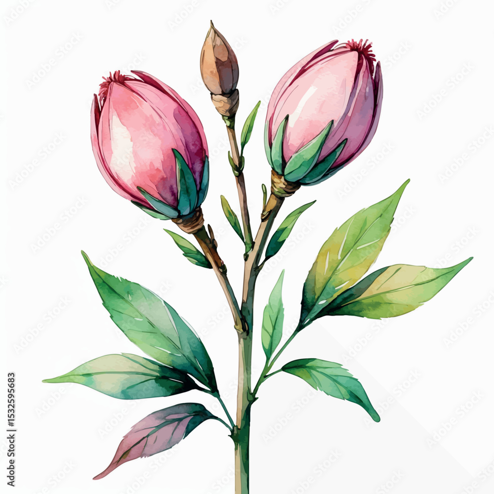 Poster budding floral element vector. watercolor botanical sprout with closed petals and soft shading.