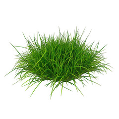 Lush green grass tuft isolated on transparent background