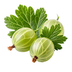 Fresh gooseberries with green leaves isolated on a black background close up view
