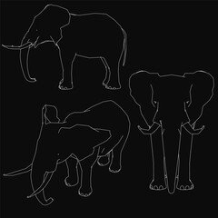 Three silhouettes of elephants are shown on a black background. The first elephant is standing upright, the second is bending over, and the third is leaning to the side