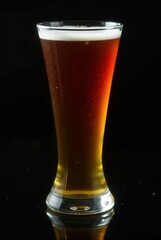 Crisp Refreshment in a Glass: A tall, slender glass of amber-hued ale stands poised, showcasing the rich color and inviting textures of the beverage.