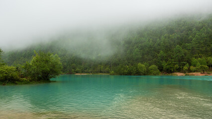 Fototapeta premium Scenic view of green lake in forest with foggy