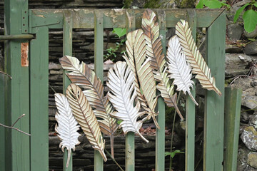Feathers on the Fence