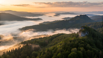Aerial view of forested mountain peaks emerging from a thick sea of clouds at sunrise. The soft mist flows between the hills, creating a surreal, dreamlike atmosphere with warm light on the horizon. P