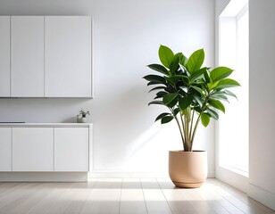 Modern kitchen interior with plant
