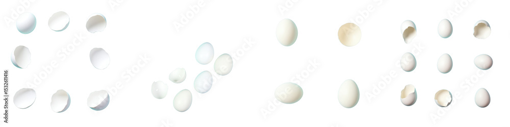 Poster pieces of broken white eggshell arranged in multiple clusters on a transparent background with a few