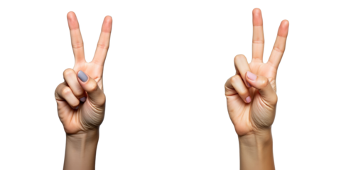 Hands of a woman displaying two peace signs isolated on a transparent background emphasizing gesture communication and positivity in minimalistic design