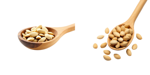 Close-up view of peeled almond seeds in a wooden bamboo spoon with some seeds scattered on a transparent background highlighting texture and details of the nuts.