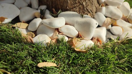 White stones grass art abstract background texture nature summer autumn day park shotlisttravel...