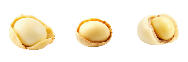 Peeled macadamia nuts arranged in a row on a transparent background showcasing different stages of shell removal isolated for culinary and product presentations