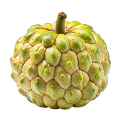 Fototapeta premium Closeup of a ripe cherimoya fruit showing its unique texture and color variations on transparent background png