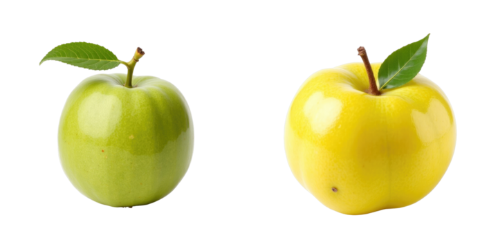 Green and yellow apples with leaf sprigs isolated on transparent background featuring reflections highlighting their glossy surfaces and texture.