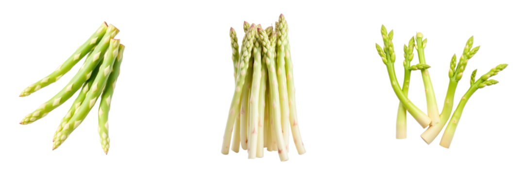 Fresh green asparagus spears and stalks arranged in various positions against a transparent background highlighting their texture and color variations.
