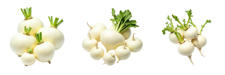White turnips with green tops arranged in clusters against a transparent background showcasing their fresh and organic appearance.