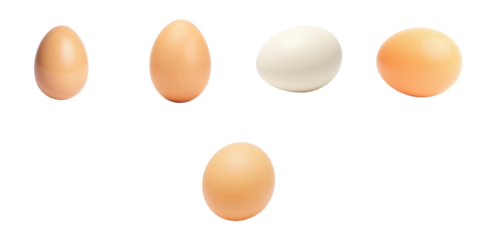 assorted eggs in various shapes and colors isolated on transparent background featuring two brown eggs one white egg and one light orange egg arranged in a row