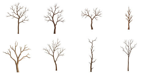 Collection of various dry tree branches with unique shapes and structures isolated on transparent background suitable for design and creative projects.
