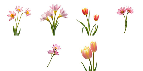 Naklejka premium variety of spring flowers including pink tulips and delicate blossoms isolated on transparent background for seamless layering or use in digital design projects