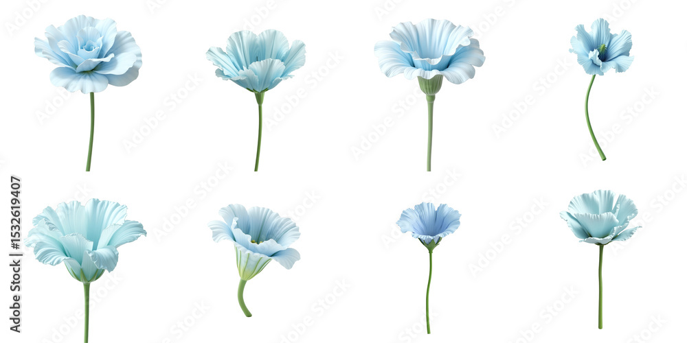 Poster eustoma flower collection in various angles isolated on transparent background showcasing delicate b