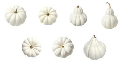 Top view collection of white wax or transparent gourds showcasing various shapes and sizes isolated on transparent background with clipping path for seamless integration