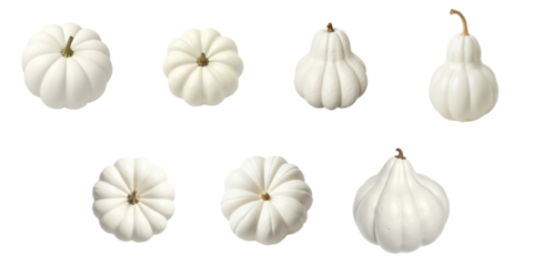 Top view collection of white wax or transparent gourds showcasing various shapes and sizes isolated on transparent background with clipping path for seamless integration