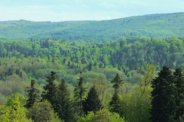 fabulous landscape of nature in the Carpathian. High quality photo